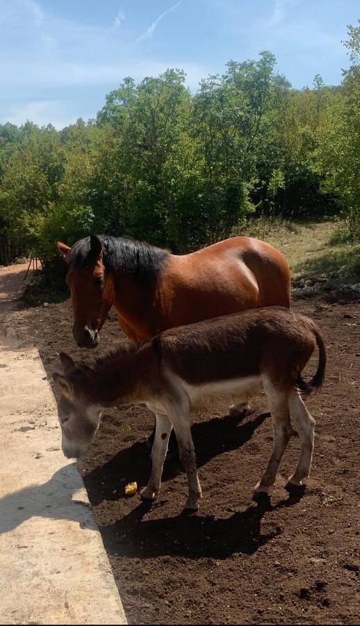 Etno Selo Montegoat Hotel Nikšić Buitenkant foto